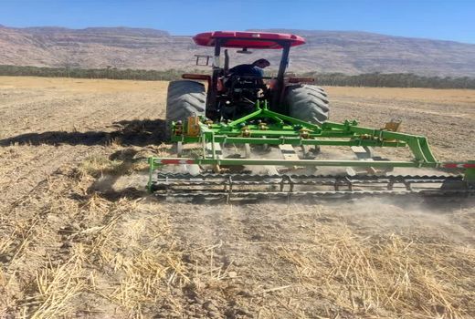 اجرای طرح جهش تولید در دیمزارهای فیروزآباد 