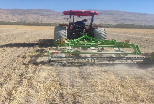 اجرای طرح جهش تولید در دیمزارهای فیروزآباد 