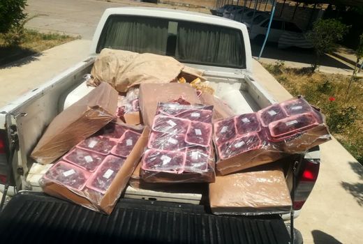 ضبط و معدوم سازی 500 کیلوگرم فرآورده خام دامی در دزفول