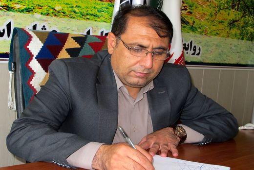 تولید سالیانه یک هزار و ۲۰۰میلیارد تومان محصولات دامی در ایلام 