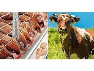 368 میلیارد تسهیلات سرمایه در گردش در بابل پرداخت شد