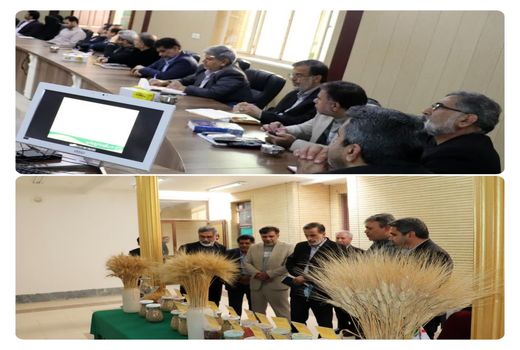 پخت نان تافتون با آرد کامل برای اولین بار در دزفول