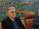 زاگرس می‌درخشد، اما زخمی‌ست/ ضرورت انسجام ملی برای نجات جنگل‌های بلوط