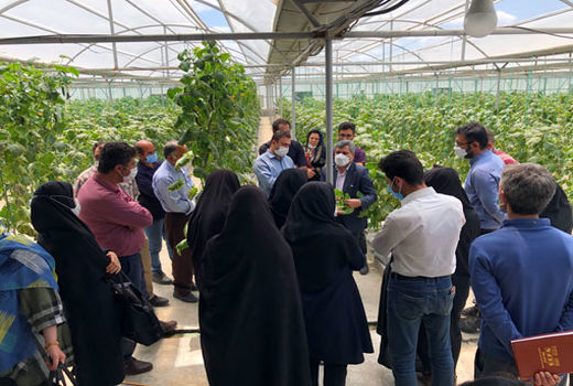 برگزاری دوره مهارتی بررسی انواع کشت‌های هیدروپونیک و تجهیزات آن در شهرستان بناب