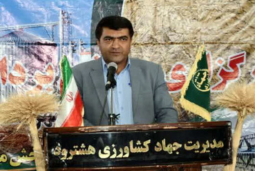 رتبه نخست شهرستان هشترود در خرید تضمینی گندم با 93 هزار تن در آذربایجان شرقی 
