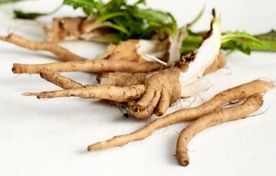 کاربردهای چیکوری در صنایع غذایی؛ از لبنیات تا نان و محصولات فراسودمند