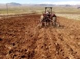 کشت پایلوت الگویی سیاه دانه درشهرستان اردل اجرا شد