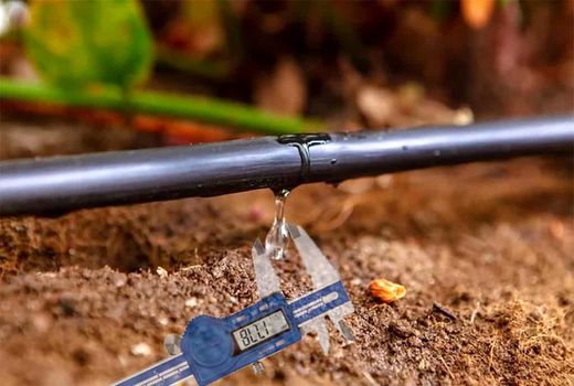 رشد بازار آبیاری دقیق با توجه به افزایش تقاضای غذا و غلات