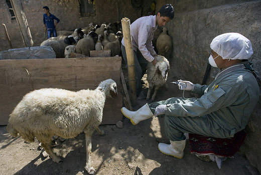 اعزام تیم کنترل تب کریمه در مناطق زلزله زده