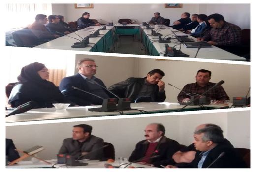 رفع مشکلات توسعه صنایع تبدیلی روغن کرمانشاهی در دستورکار 