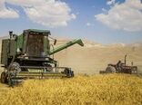 پرداخت مطالبات گندمکاران بوشهری از سرگرفته می‌شود