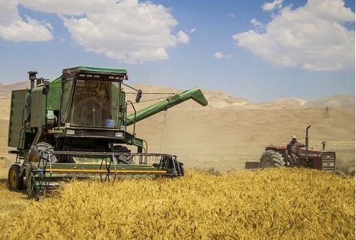 پرداخت مطالبات گندمکاران بوشهری از سرگرفته می‌شود