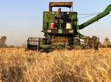 به‌کارگیری بیش از 158دستگاه کمباین و دروگر در عملیات برداشت گندم و جو