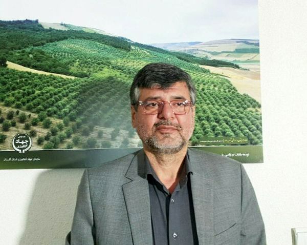 اجرای طرح " مشارکت در تبدیل کاربری اراضی زراعی شیبدار به باغات مثمر " 