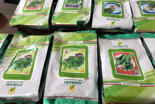 طرح خرید و توزیع بذر سبزیجات در بین زنان روستایی استان قزوین اجرا شد