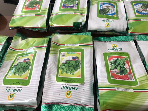 طرح خرید و توزیع بذر سبزیجات در بین زنان روستایی استان قزوین اجرا شد
