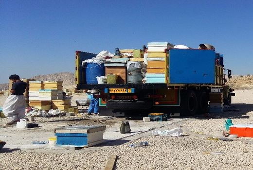 کوچ پائیزه زنبورستان ها به فراشبند آغاز شد