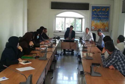 کارگاه آموزشی مبارزه با رنگ زرد و سایرعوامل خسارت زای غلات