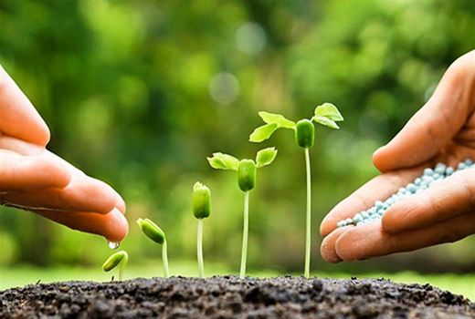 کشاورزان بهترین محافظان خاک هستند/ اجرای طرح پزشک خاک