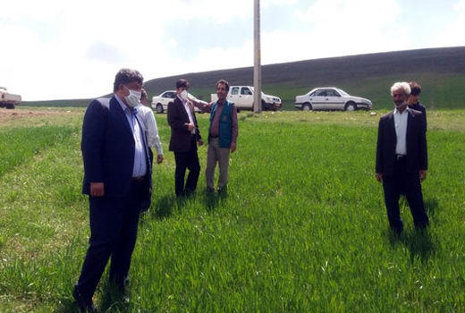 مبارزه با علفهای هرز، آفات و بیماریها در مزارع شهرستان هوراند