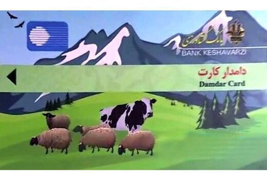 صدور 30 دامدار کارت در نکا/ 8 میلیارد تسهیلات پرداخت شد