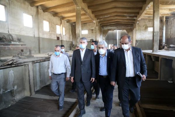 در حوزه نان نیازمند نوآوری هستیم