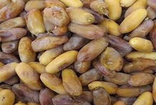 صادرات بیش از 2 هزار تنی خرمای جهرم