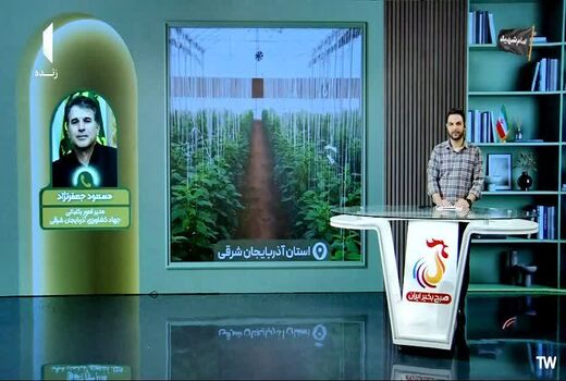 هدف‌گذاری برای توسعه ۲ هزار هکتار گلخانه در آذربایجان شرقی در افق پنج‌ساله 