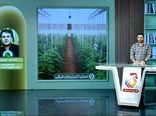 هدف‌گذاری برای توسعه ۲ هزار هکتار گلخانه در آذربایجان شرقی در افق پنج‌ساله 