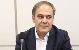 رایزنان اقتصادی می‌توانند سفیران کشاورزی ایران در کشورهای هدف باشند