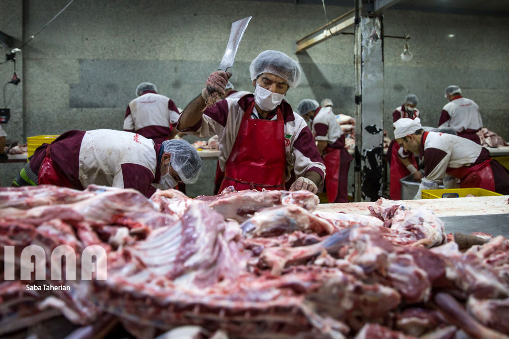 بسته‌بندی محصولات پروتئینی