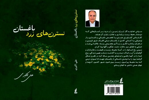 کتاب «نسترن‌های زرد باغستان» به قلم علی اکبری منتشر شد