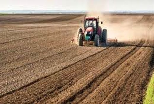 اجرای طرح جهش تولید در ۶۰ هزار هکتار از دیمزارهای چهارمحال و بختیاری