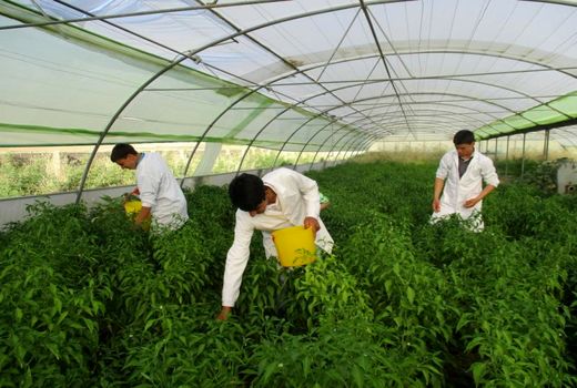 حاشیه‌های یک دروغ بزرگ