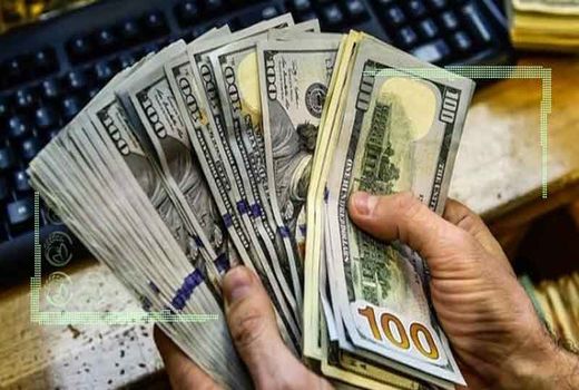 ضربات مهلک ارز ترجیحی بر پیکره بخش کشاورزی