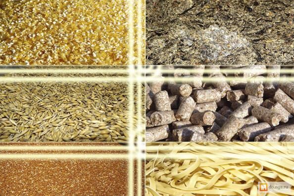 اینوفارم؛ آغازگر سرمایه‌گذاری هوشمندانه در ایده‌های صنعت خوراک دام و طیور است