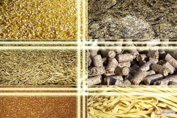 اینوفارم؛ آغازگر سرمایهگذاری هوشمندانه در ایدههای صنعت خوراک دام و طیور است