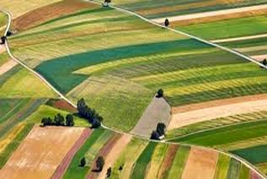 رفع تصرف 31 هکتار از اراضی کشاورزی خوزستان