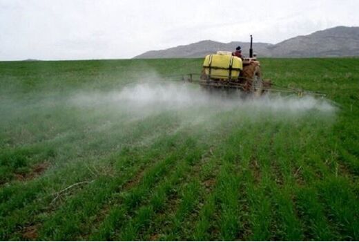 سمپاشی هزار و ۵۰۰ هکتار از گندم‌زارهای خراسان شمالی علیه آفت سن