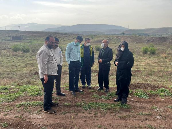 رئیس سازمان جهاد کشاورزی استان قزوین از طرح توسعه باغهای زیتون در اراضی شیبدار طارم سفلی بازدید کرد