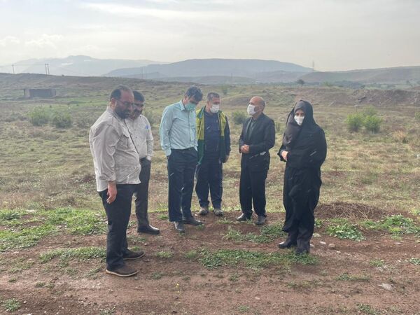رئیس سازمان جهاد کشاورزی استان قزوین از طرح توسعه باغهای زیتون در اراضی شیبدار طارم سفلی بازدید کرد
