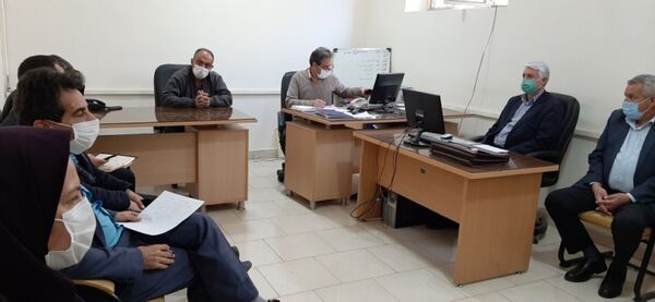 روش‌های نوین کشت کلزا در مزارع کشاورزی بررسی شد