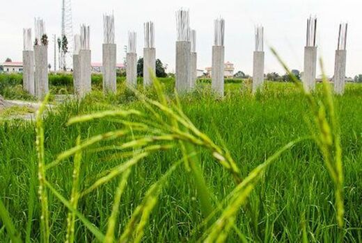 تهدید امنیت پایدار غذایی با تعدد قوانین و منافع متناقض تغییر کاربری اراضی

