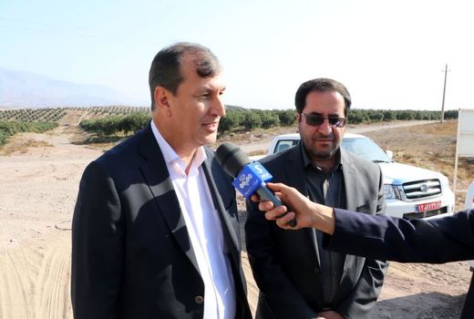 پیش‌بینی تولید بیش از ۱۷ هزار تن روغن زیتون در کشور