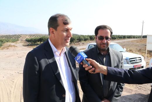 پیش‌بینی تولید بیش از ۱۷ هزار تن روغن زیتون در کشور