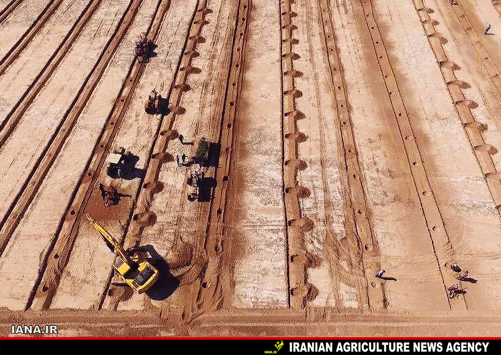 بیابان‌زایی