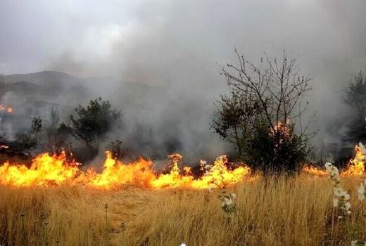 هشدار اداره کل منابع طبیعی خراسان شمالی نسبت به خطر آتش‌سوزی مراتع با گرم شدن هوا 
