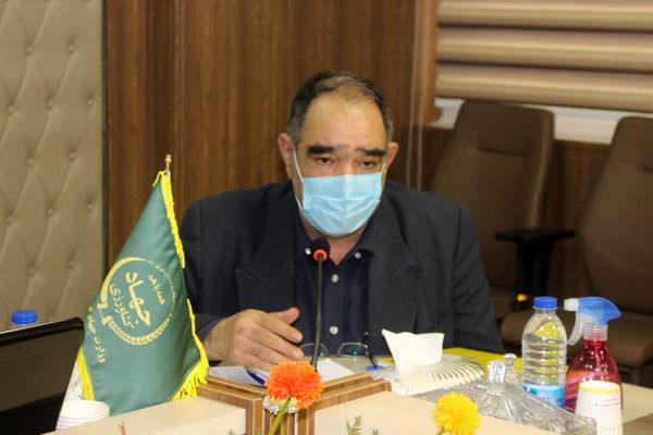 افزایش صادرات محصولات گلخانه‌ای در قالب زنجیره 