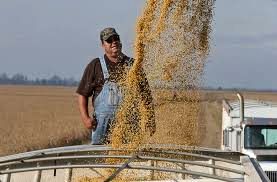 رشد ۱۱۲ درصدی صادرات سویا از آمریکا به اتحادیه اروپا