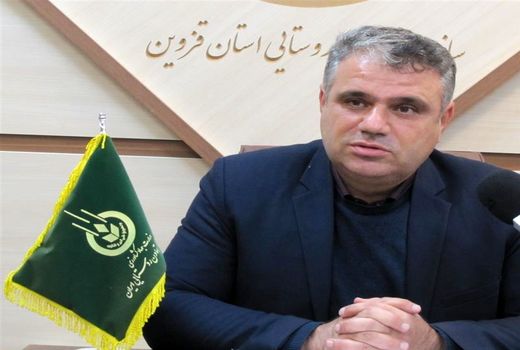 آغاز خرید حمایتی میوه زیتون در استان قزوین